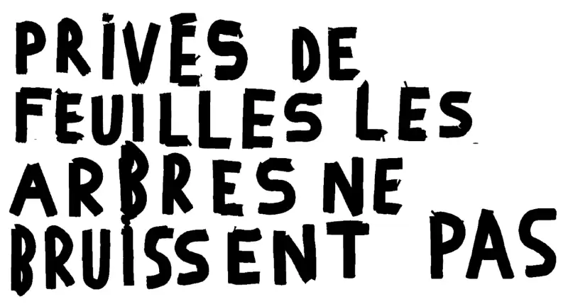 Privés de feuilles les arbres ne bruissent pas