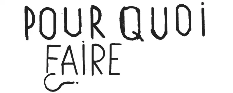 Pour Quoi Faire ?